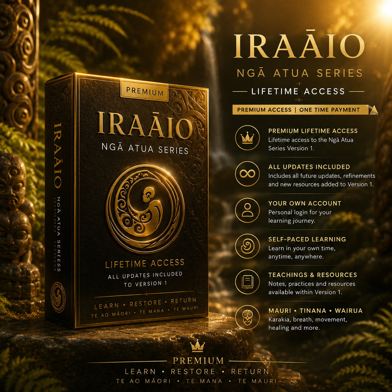 Ngaa Atua Series Lifetime Access